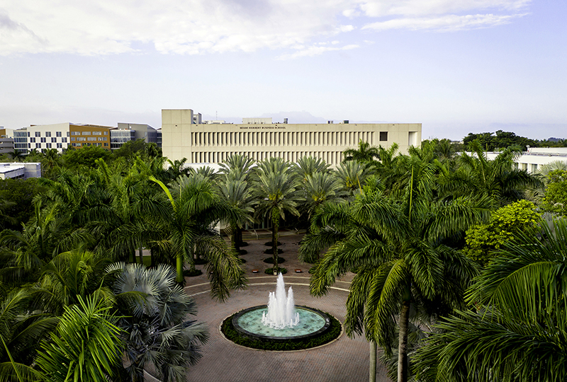 Fountain and palm trees on campus