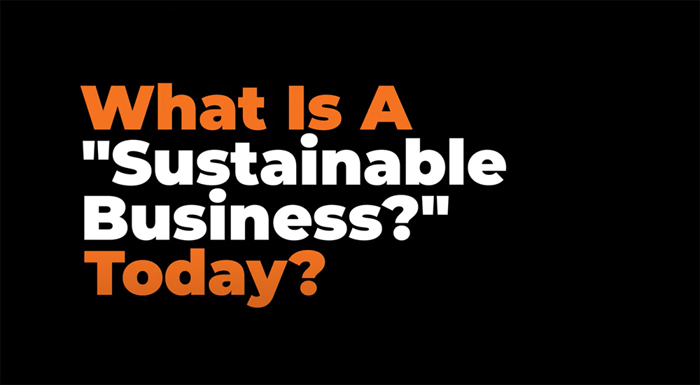 What is a sustainable business today