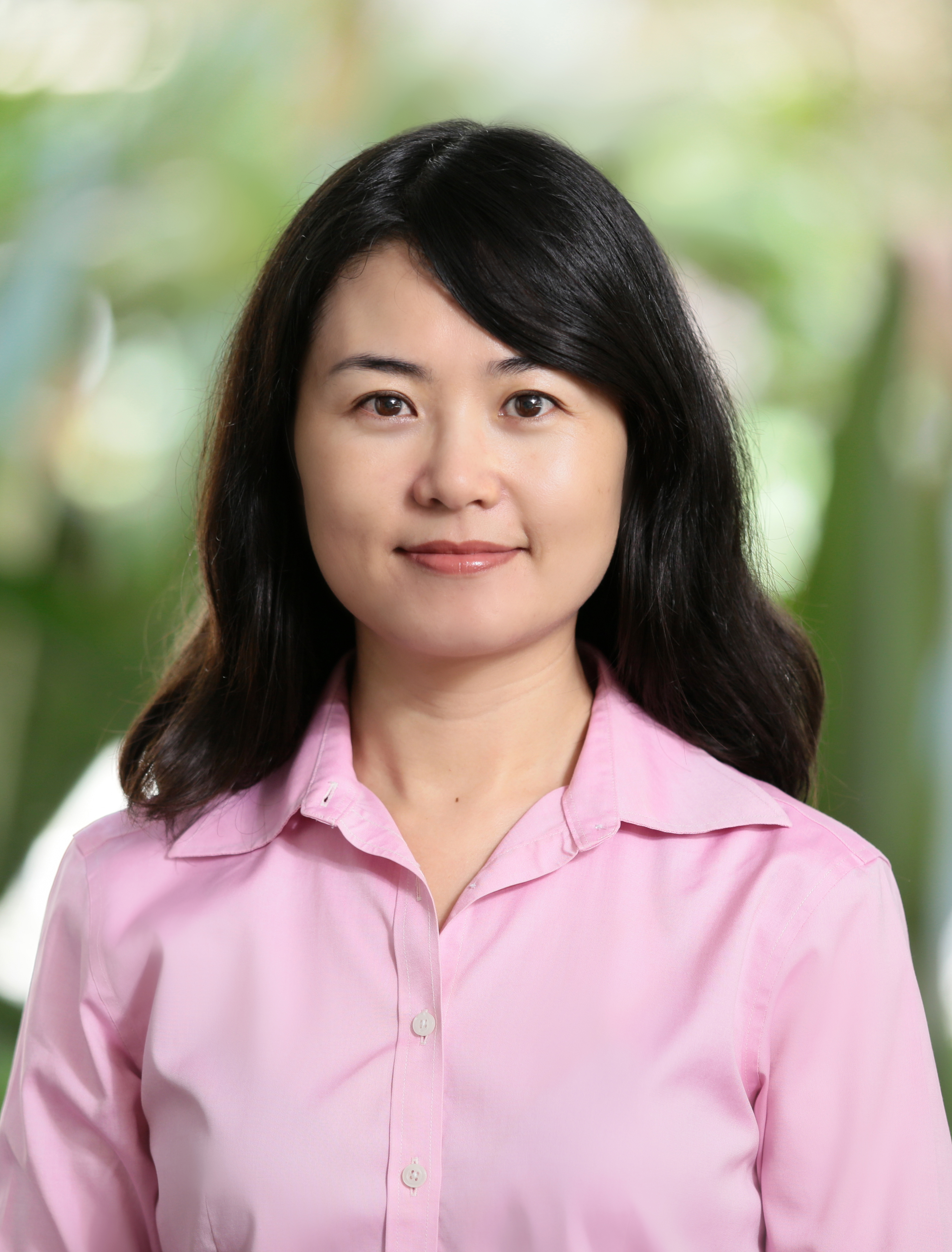 Rong Hai: Assistant Professor, Economics
