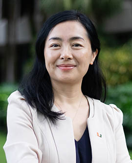 Professor Lan Wang