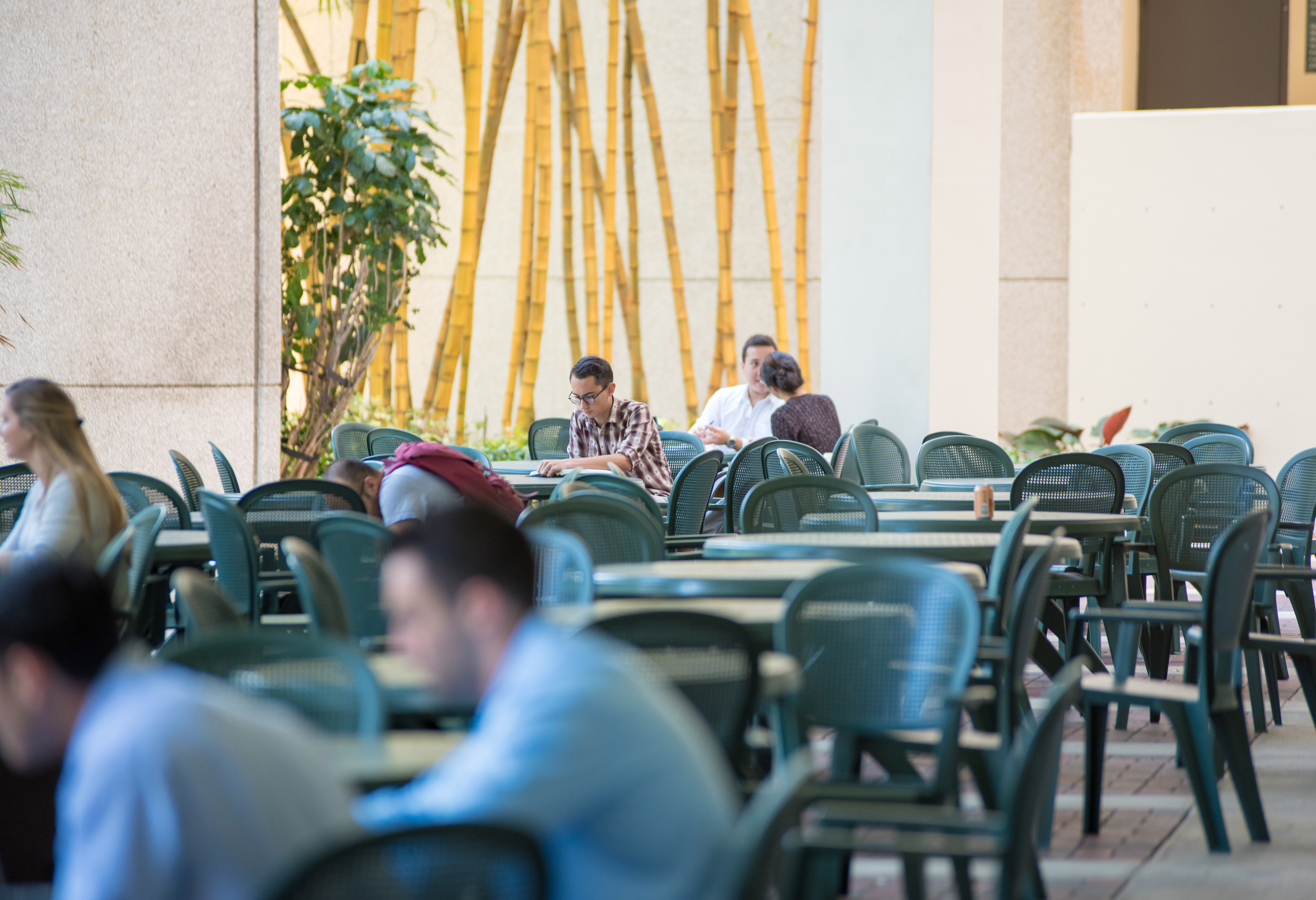 Students studying in the business school breezeway.