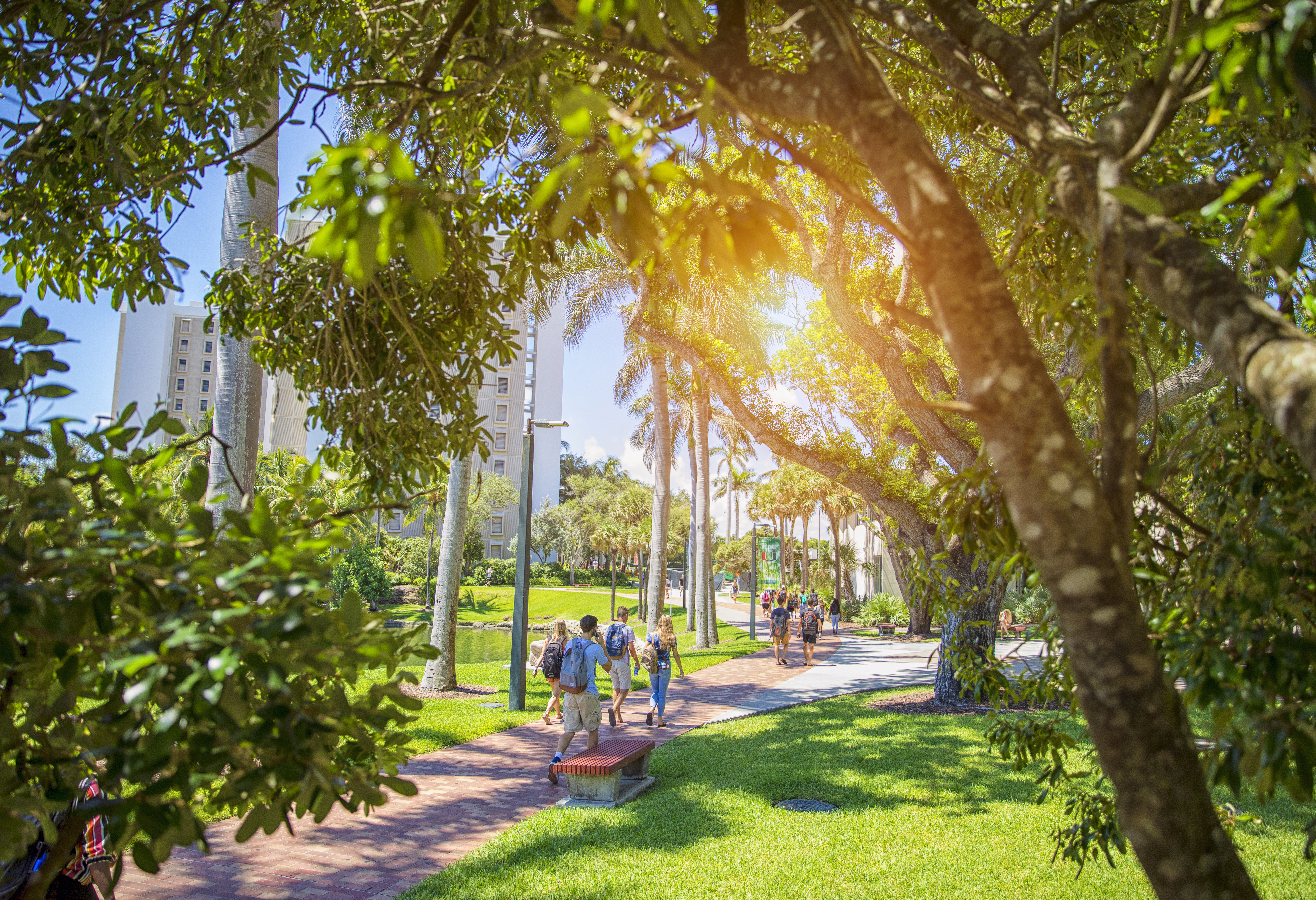 Students walking throughout the University of Miami Campus