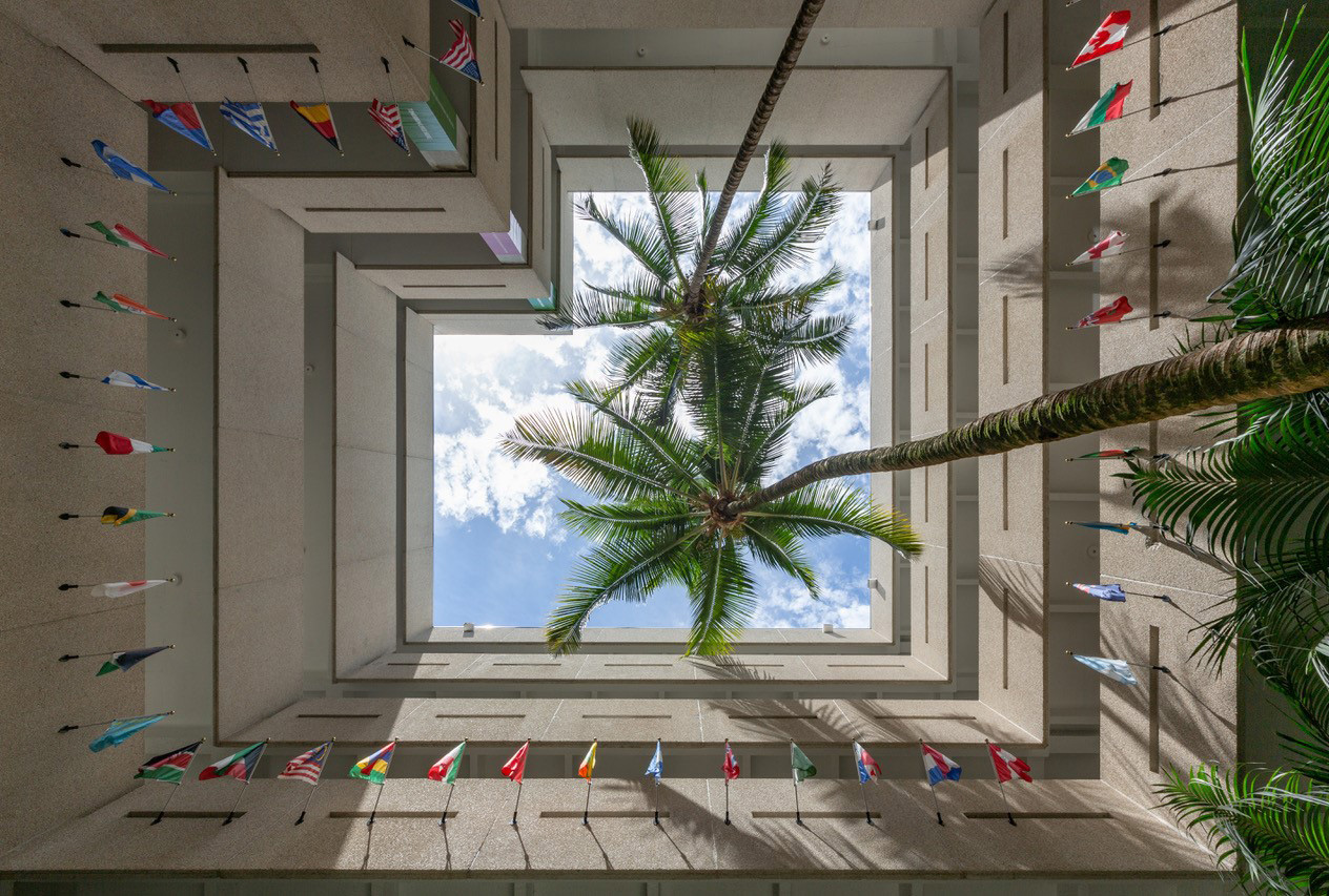 looking up in the courtyard