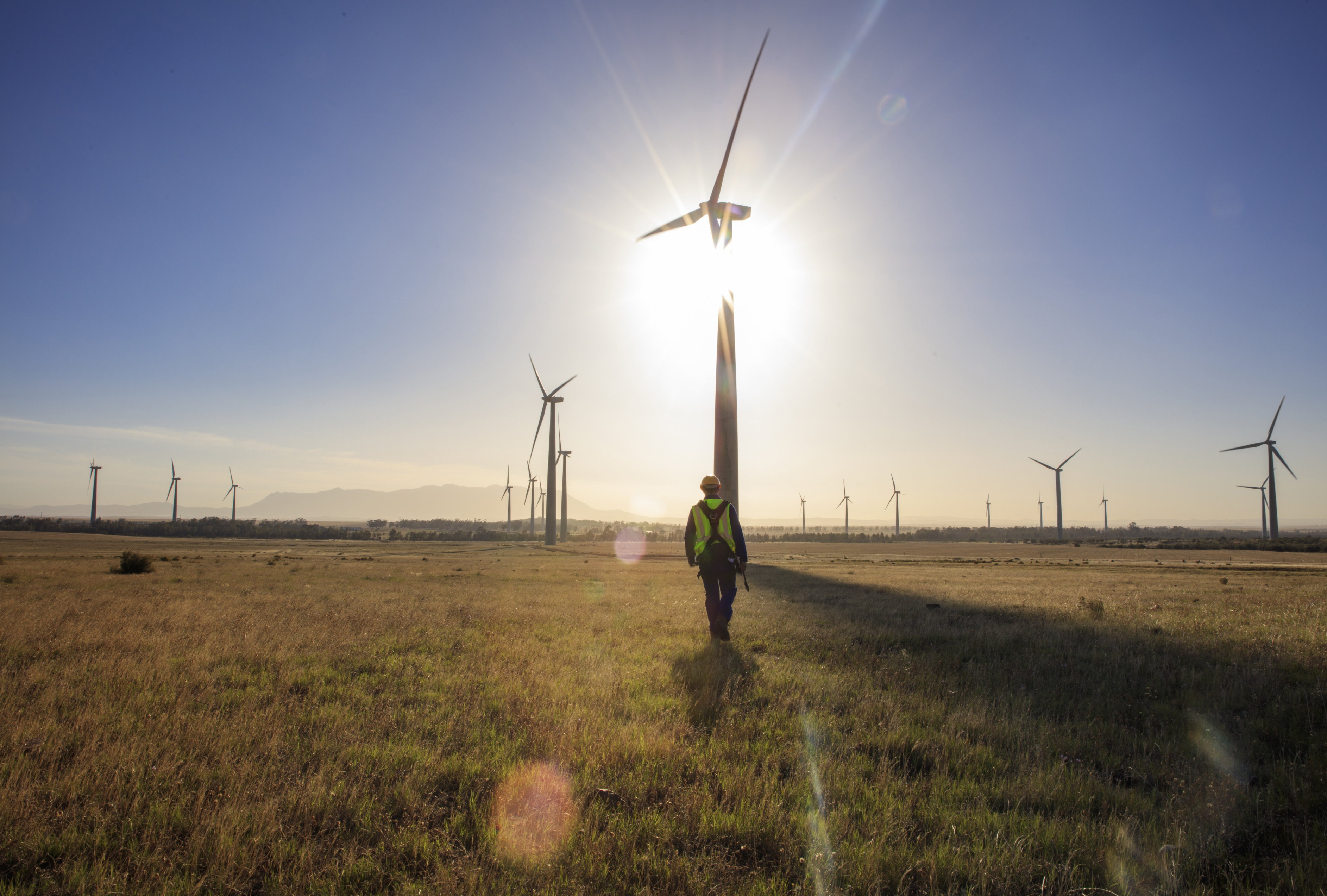 person walking in a wind farm